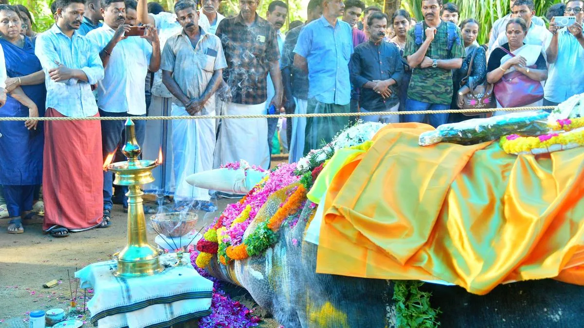Tusker Pallattu Brahmadathan, who died in a lightning strike, cremated in Keralam