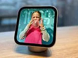 Apple launches the HomeView: £299 smart home device can recognise six family members and brings up a personalised experience for each