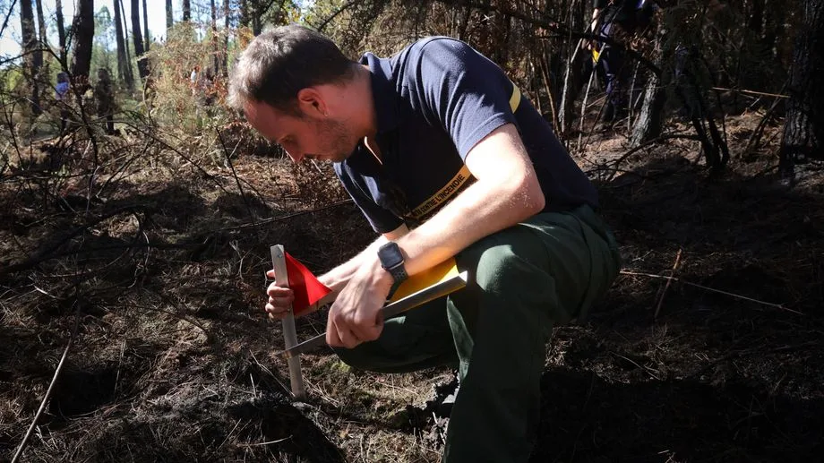 Incendies : 474 personnes interpellées pour des mises à feu criminelles ou involontaires depuis le début de l'été