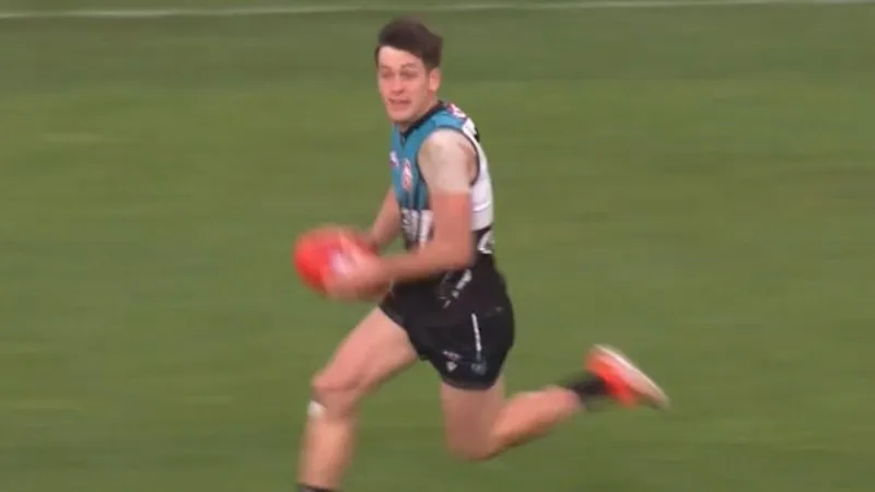 Butters nominates Dogs for $18m deal