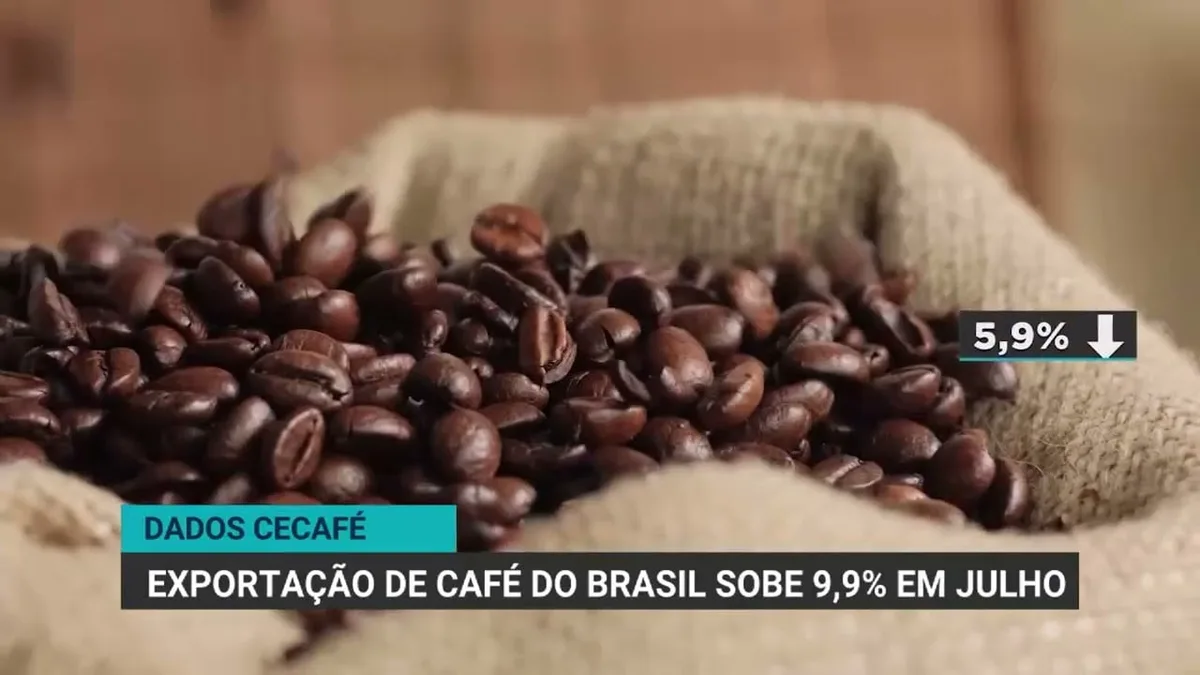Exportações de café do Brasil aumentam em julho, mas receita cai 13,2%