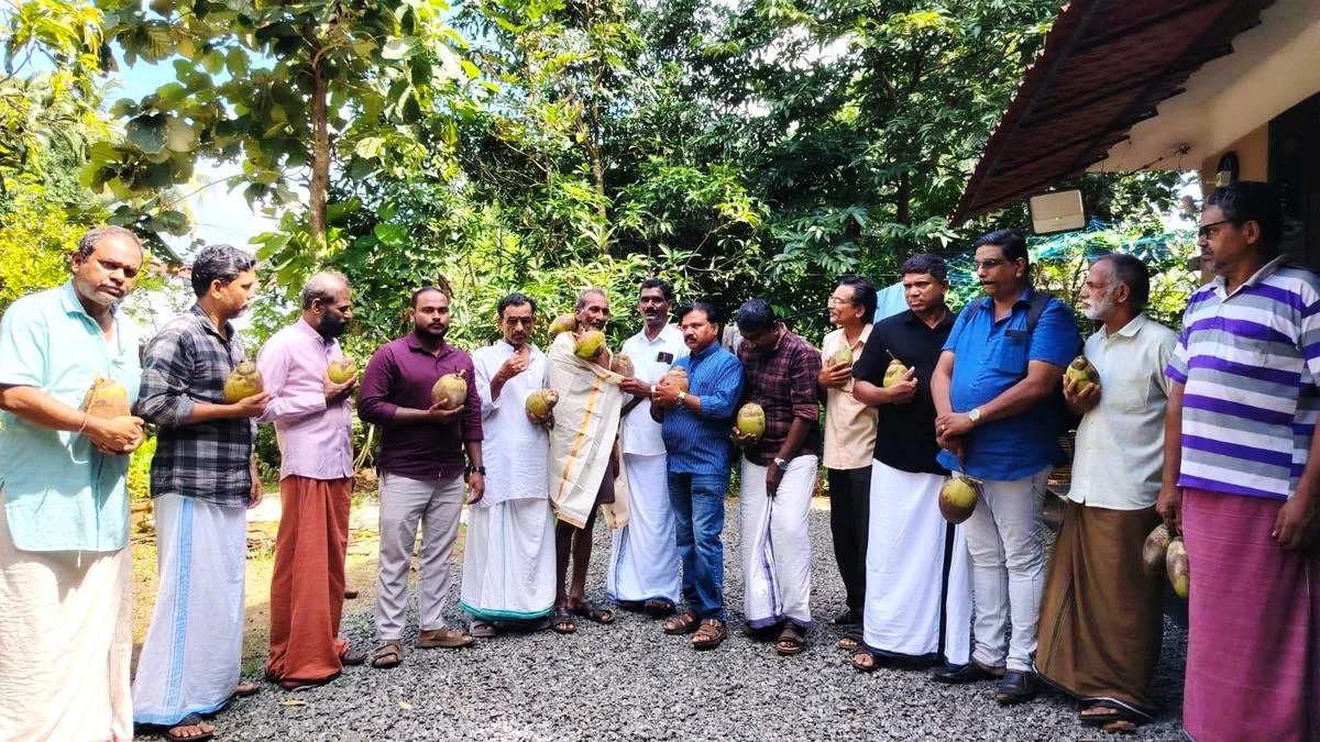 From boyhood to 70, Sasi keeps climbing coconut trees