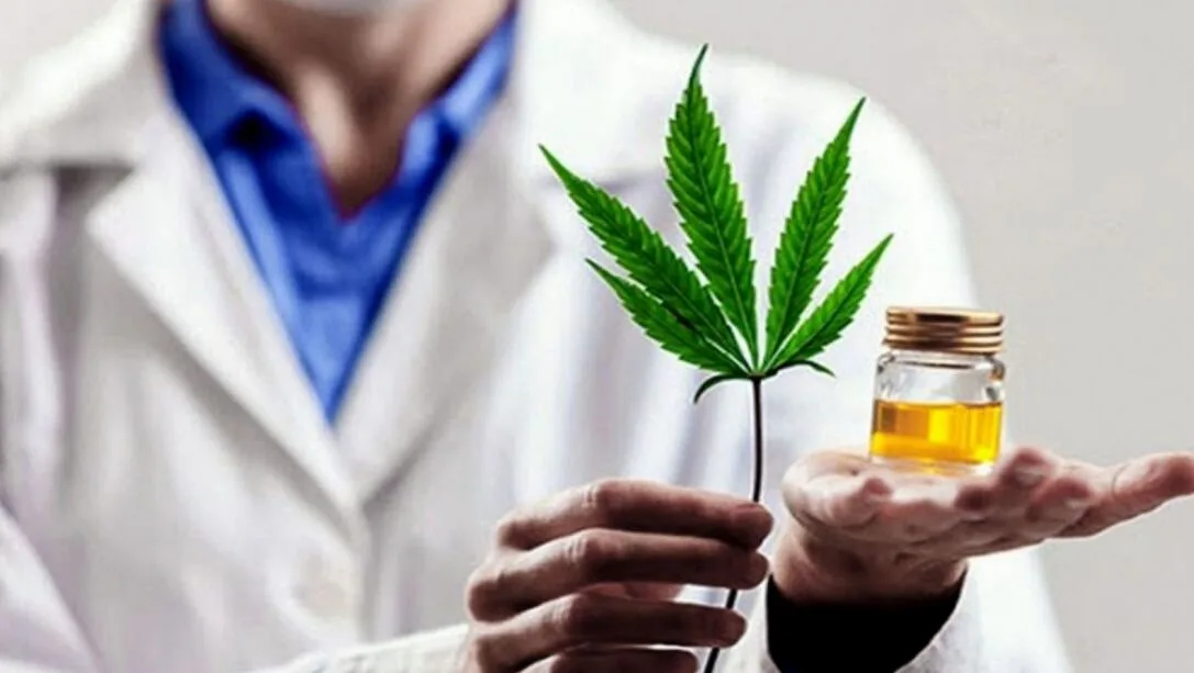 ¿Y si pruebo con cannabis?: los motivos más comunes por los que los pacientes buscan consumir esta droga y las respuestas de los médicos