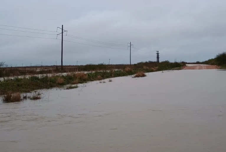 “Se nos viene la noche”: la crecida del río Uruguay por El Niño enciende las alarmas en los campos de Corrientes y Entre Ríos