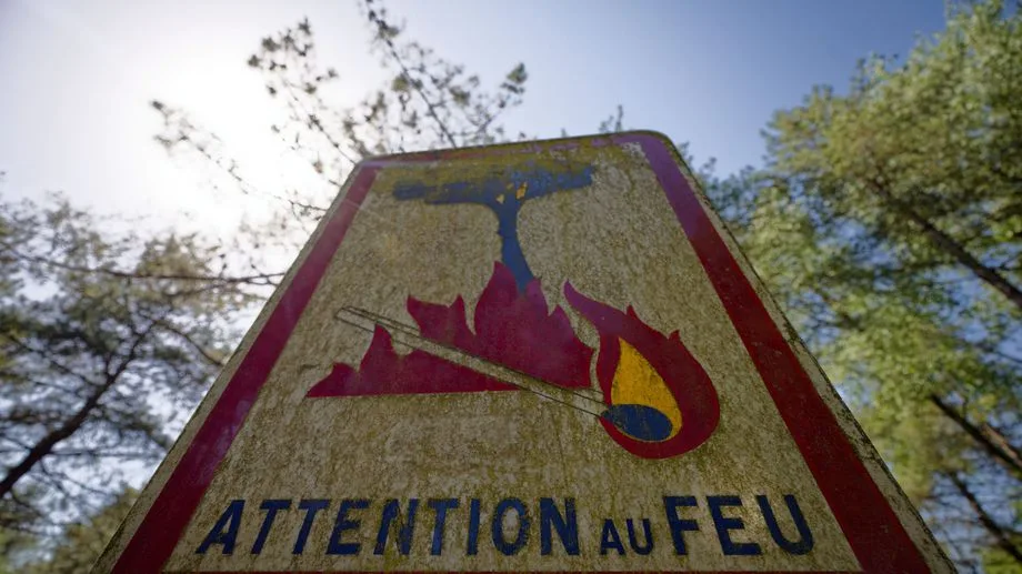 Feux de forêts : sept départements du Sud en risque "élevé"