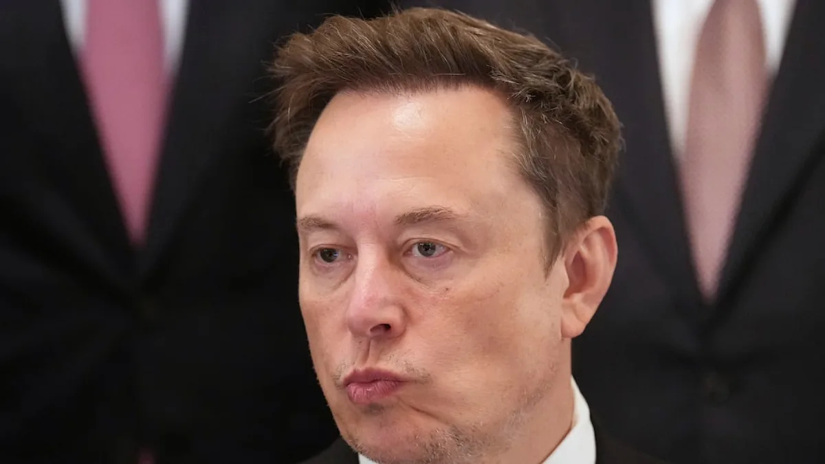 Zu viele Daten veröffentlicht - Nutzer manipulieren Elon Musks Legobestellung