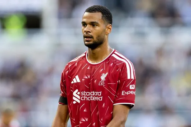 Cody Gakpo to STAY at Liverpool as Man City make Enzo Fernandez top priority