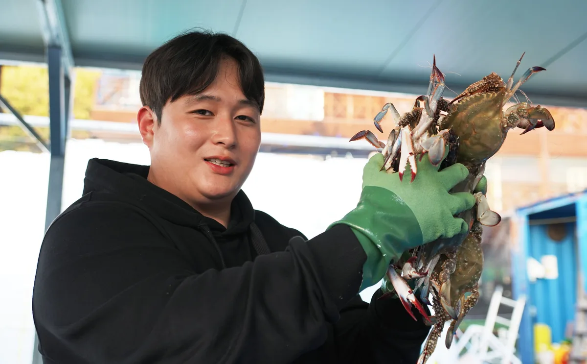 꽃게 풍년에 서해안 신났다 “살 꽉 찬 싱싱한 꽃게, 이리 와 싸게 드세요!”