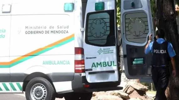 Mendoza: un nene de 5 años murió atropellado tras caer de la caja de la camioneta de su papá