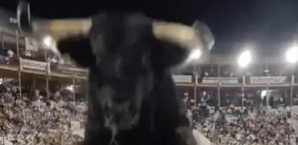 Touro de meia tonelada pula a cerca e causa pânico em arena na Espanha