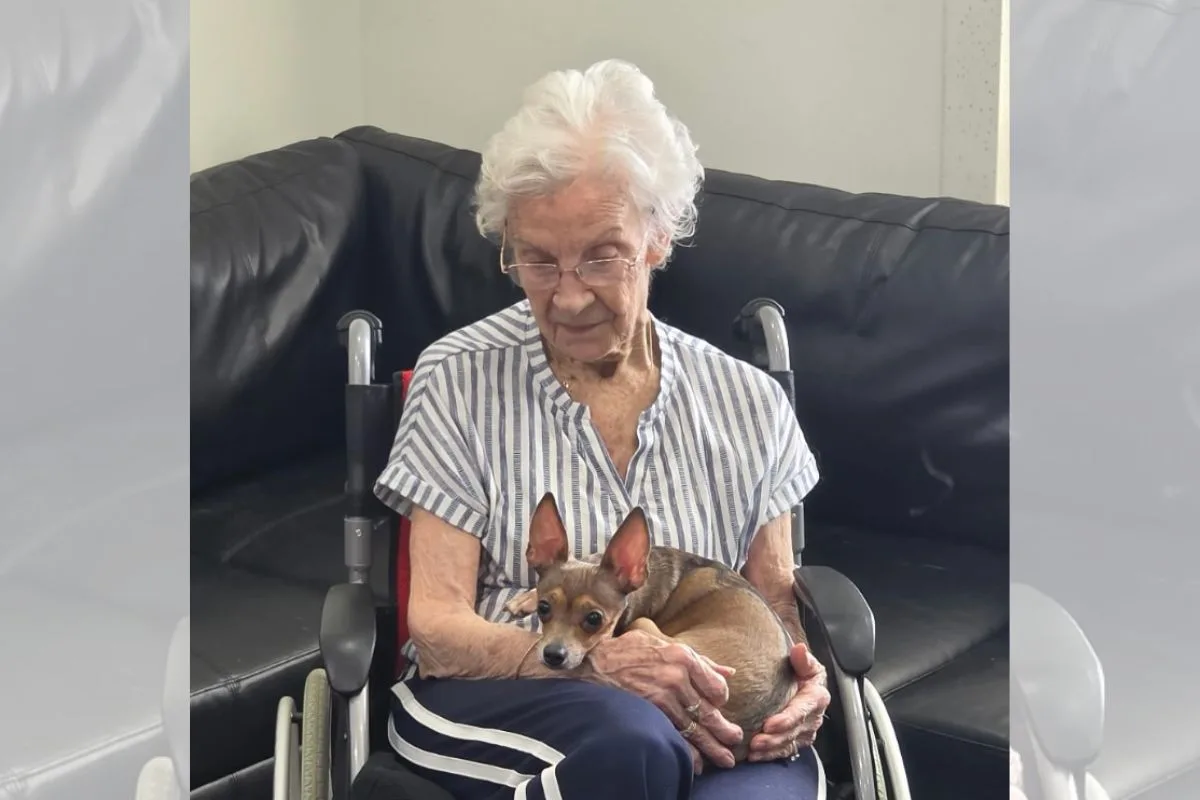 Idosa de 90 anos adota cadela cega e vínculo imediato emociona a família