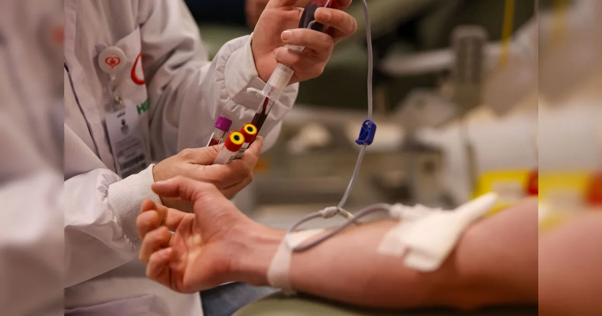 Novas regras reduzem prazos de espera e ampliam possibilidade para doação de sangue