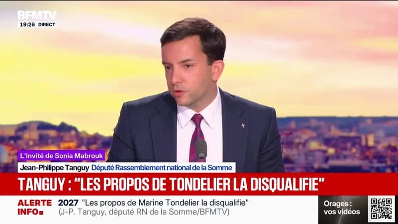 Jean-Philippe Tanguy, député RN, estime que les propos de Marine Tondelier la "disqualifient"
