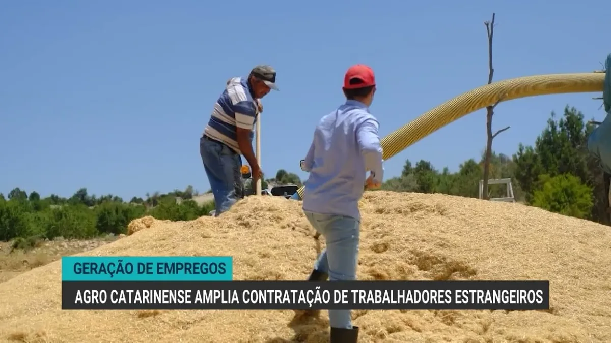 Agro catarinense registra aumento na contratação de trabalhadores estrangeiros