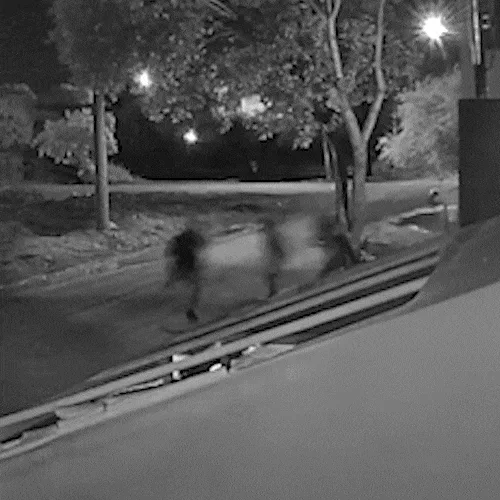 Mais um que se passou por policial para executar homem é preso em Sidrolândia
