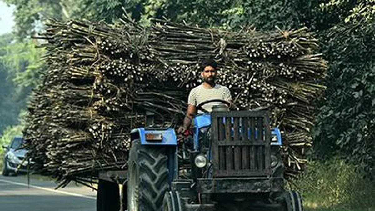 Uttar Pradesh pushes sugarcane transformation with digital reforms, modern governance