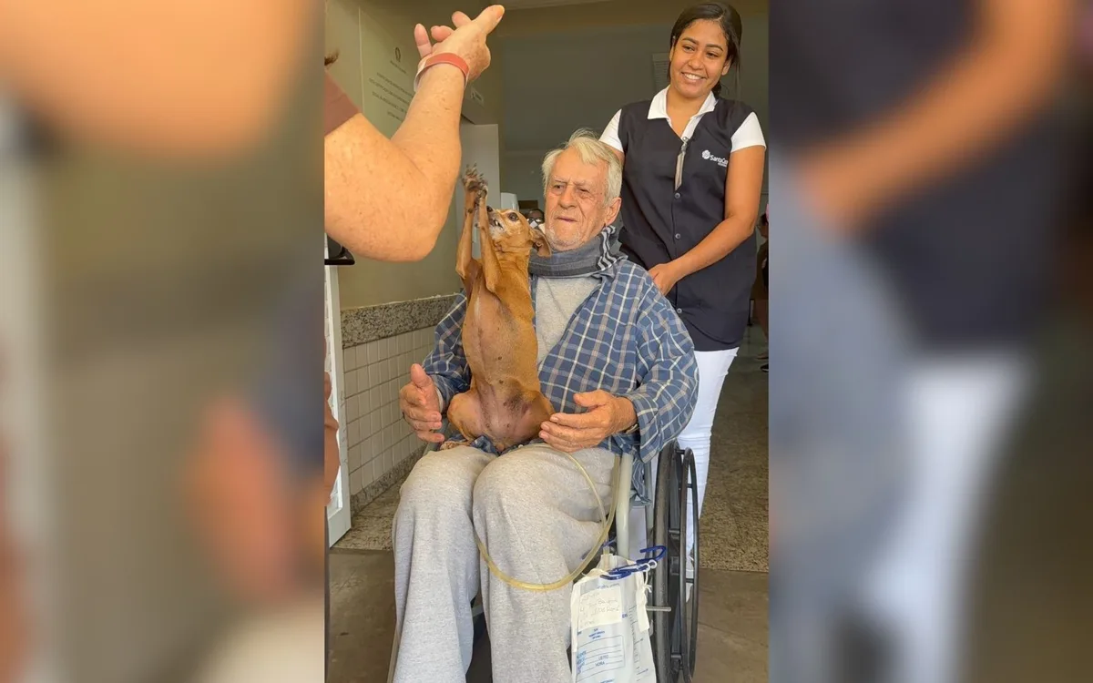 Idoso recebe visita de cachorra de estimação em hospital no interior de SP: 'Ficou muito animado', diz filha
