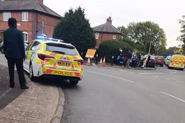 Boy, 11, injured in Manchester 'dog attack' with 'Bullmastiff-types on the loose'