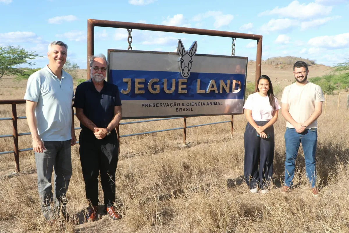 Jegue Land: fazenda na Bahia aposta na ciência para valorizar jumentos