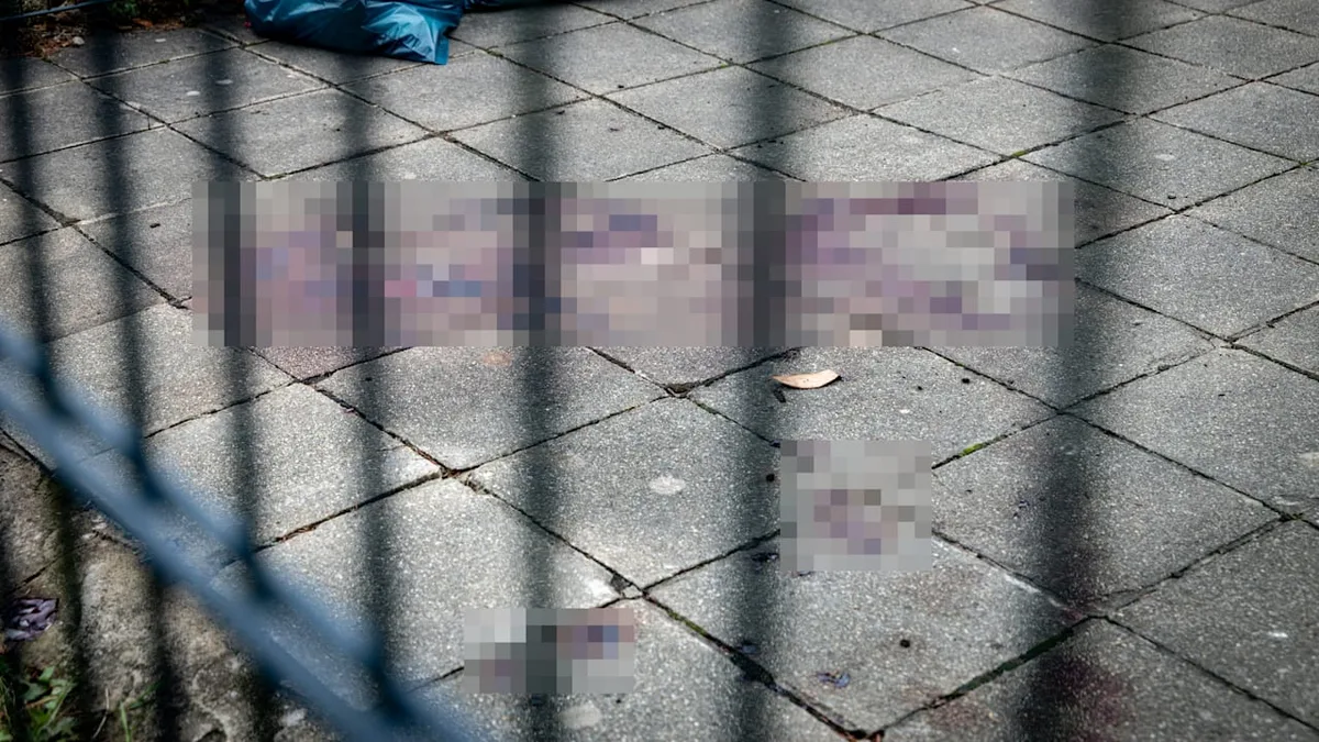 Blutbad am Zaun - Bruder wollte Bruder mit Axt und Armbrust töten