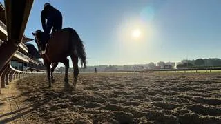 Suspendido entrenador involucrado por el escándalo del Daily Double