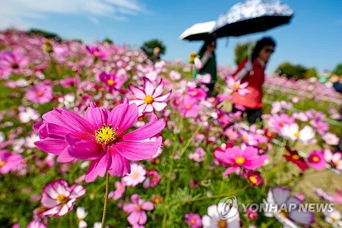 부산·울산·경남 늦은 밤부터 가끔 비…낮 최고 26∼29도