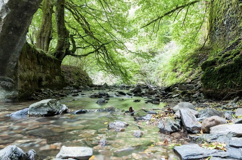 Pamplona tiene plazas para 155 personas sin hogar. Hay gente durmiendo en el cauce de un río y despertando rodeada de agua
