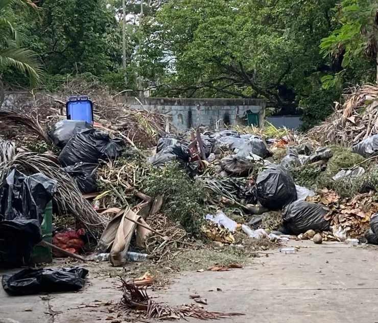 En IMÁGENES: abandono chavista consume al Parque del Este en Caracas