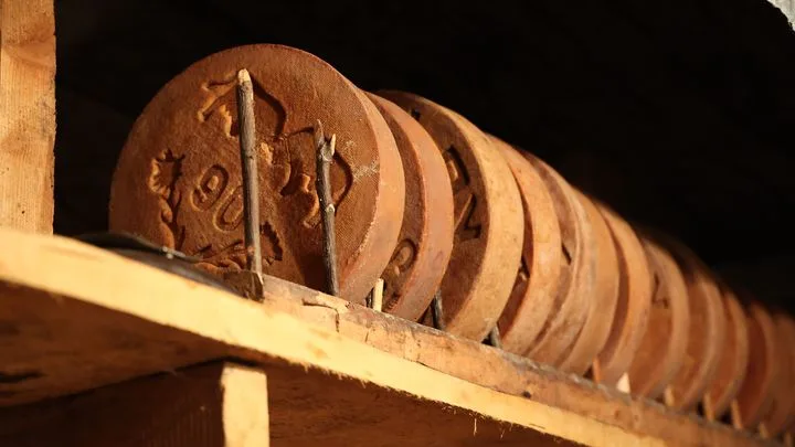 142 ans d’histoire microbienne dans des fromages suisses