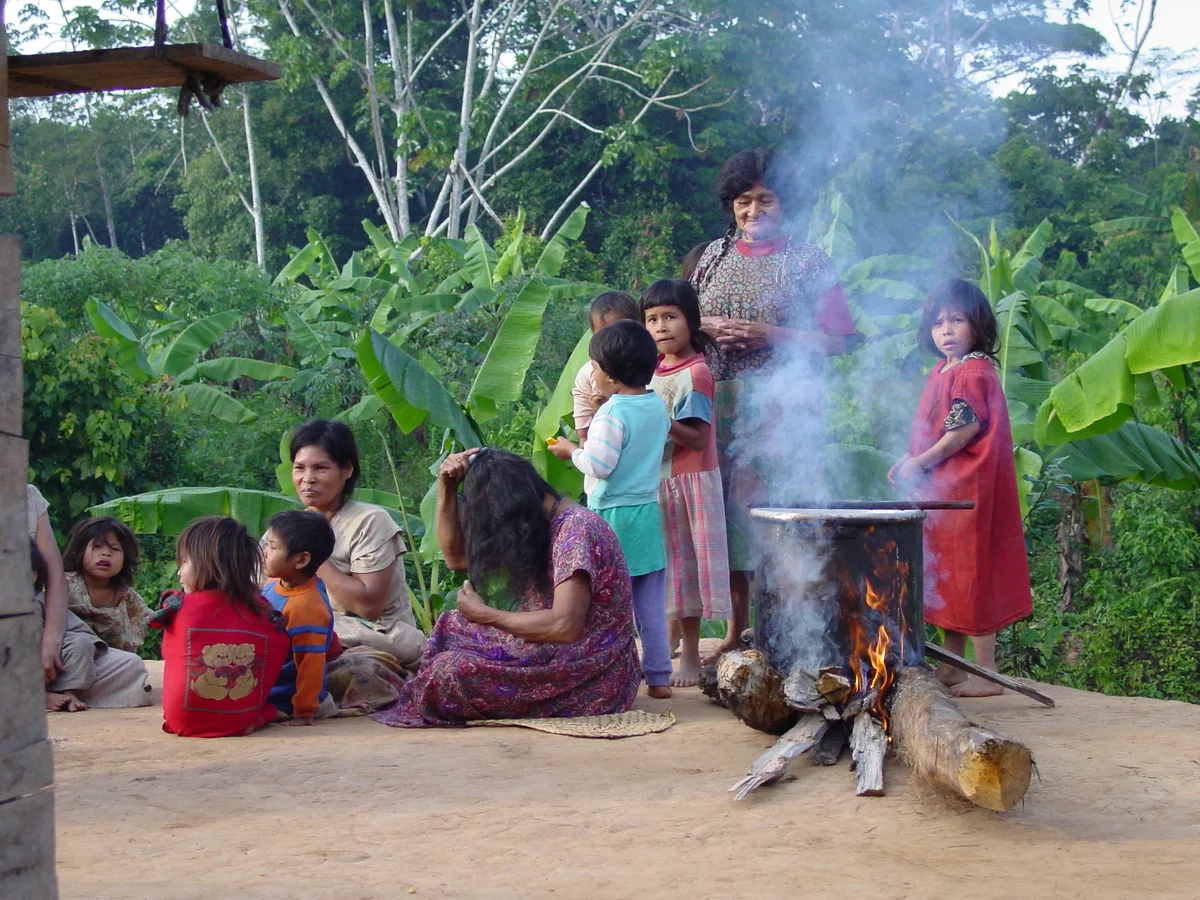 Gut microbes followed migrating humans across continents, new study suggests