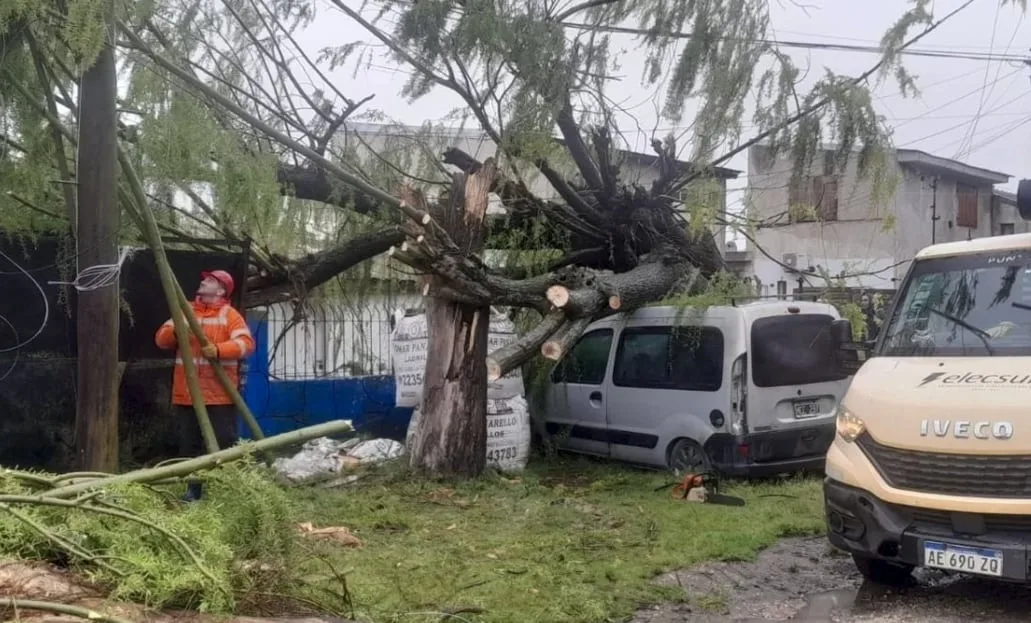 Temporal y destrozos en la Costa Atlántica: hubo apagones y una camioneta fue aplastada por un árbol en Mar del Plata