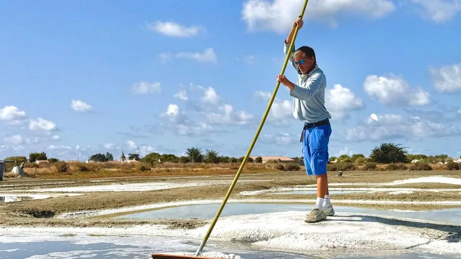 VIDÉO - "C'est exceptionnel" : les sauniers de Noirmoutier attendent une récolte record de sel après un été caniculaire