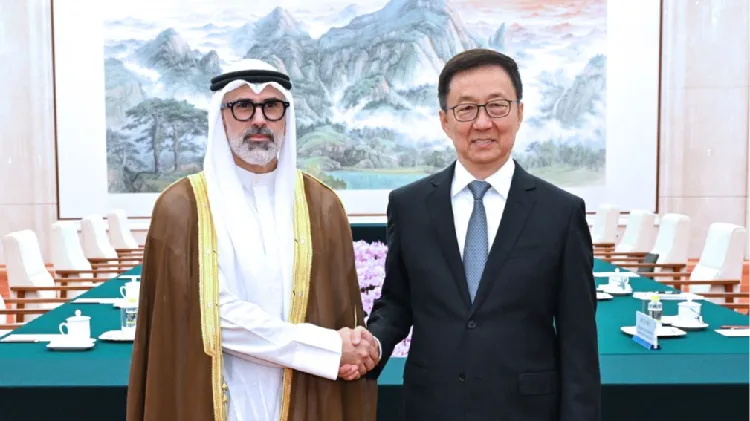 Chinese vice president meets Kuwaiti FM