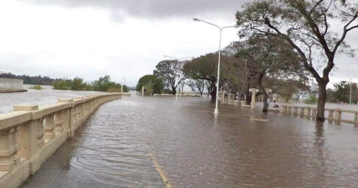 Fenómeno El Niño en Argentina: niveles de agua al límite, primeros evacuados y ciudades en alerta por más lluvias en el norte del litoral