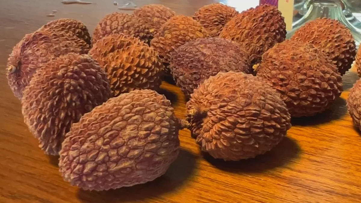 Produtores de lichia ampliam mercado e apostam em novos produtos para reduzir perdas