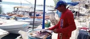Caraballeda tendrá nueva planta industrial para procesar pescado