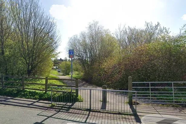 Teenage girl 'raped after being grabbed and pulled into bushes by man in balaclava', police investigate