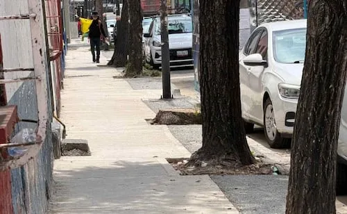 Alcaldía Cuauhtémoc rehabilita mil 500 metros de banquetas permeables; buscan reducir encharcamientos