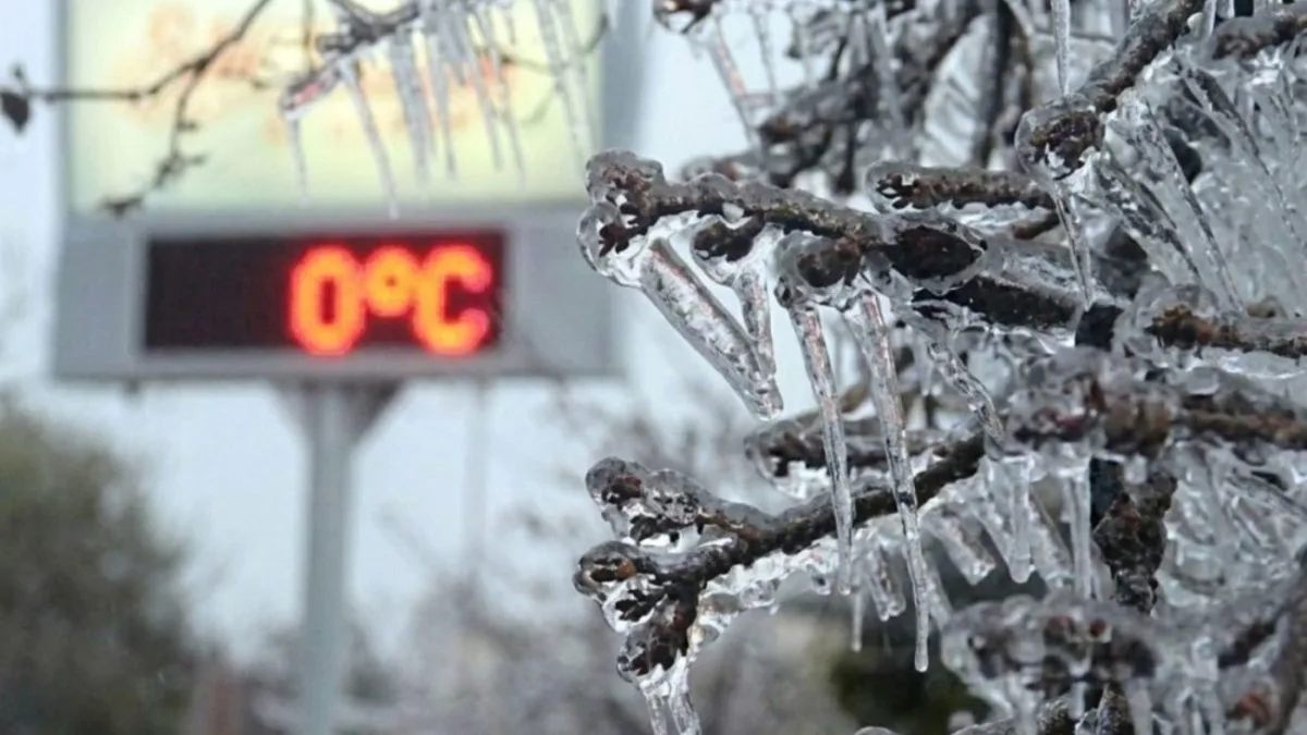 Alerta de geada coloca mais de 170 cidades de SC em perigo de frio intenso neste domingo (23); veja regiões afetadas