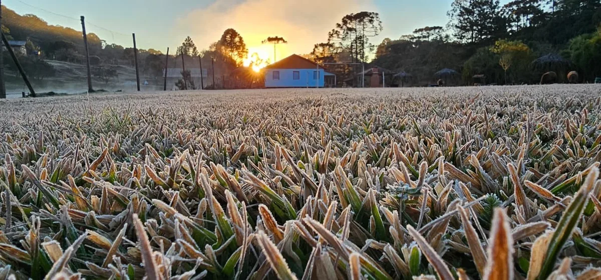 Paraná registra frio de 2,3ºC em pleno outubro, e pode repetir baixas temperaturas; veja a previsão do tempo