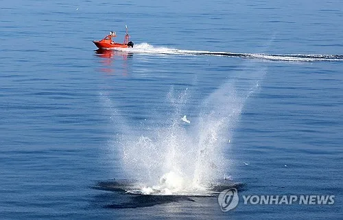 첫 해상전투실험 나선 자폭드론, 마라도함 뜨자마자 추락
