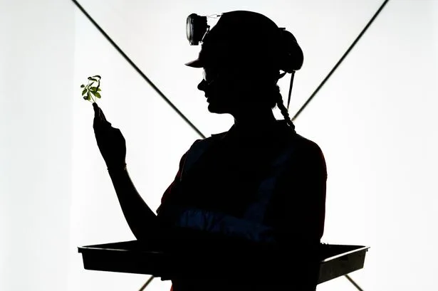 World's deepest farm 1.1 km under North York Moors gives glimpse of future for food production