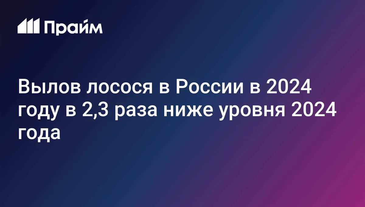 Вылов лосося в России в 2024 году в 2,3 раза ниже уровня 2024 года