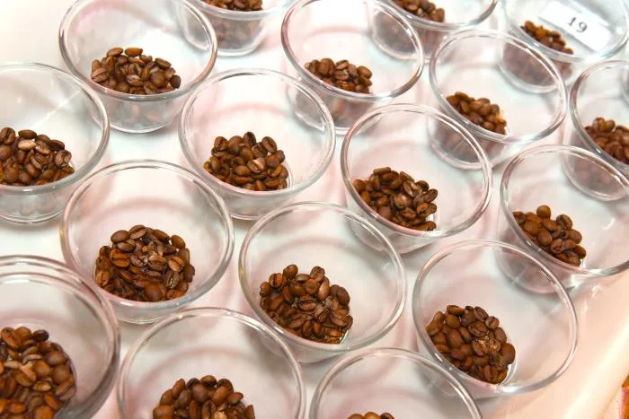 Concurso de qualidade dos cafés mineiros bate recorde com quase 2 mil amostras