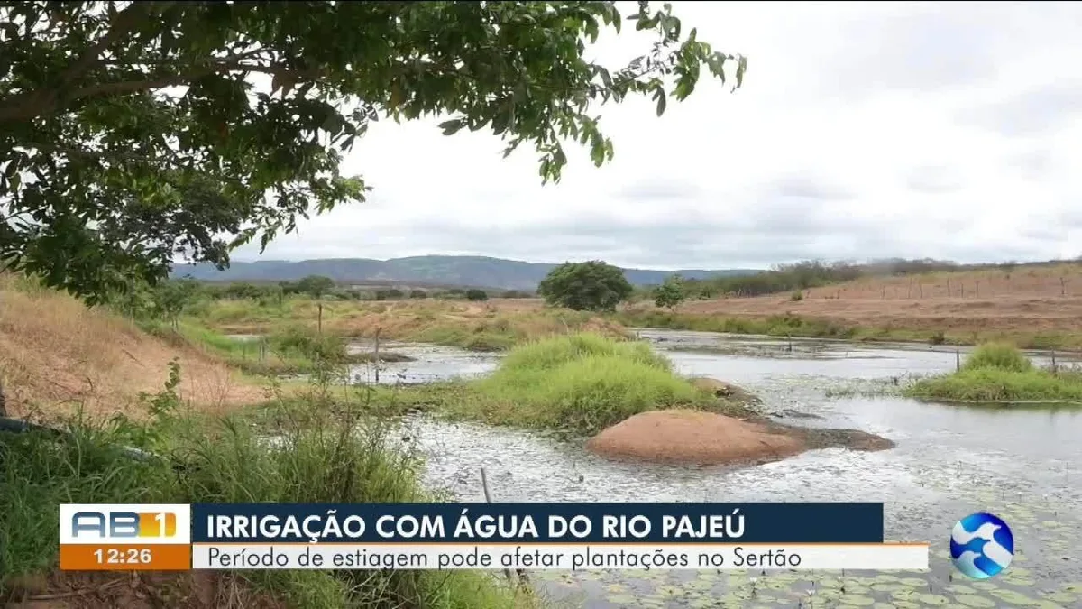 VÍDEOS: AB1 de sábado, 15 de agosto de 2026