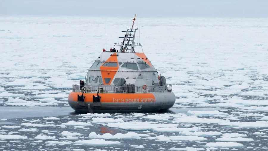 Drift durchs Eis: „ISS der Arktis“ auf Expedition - Hund warnt vor Eisbären