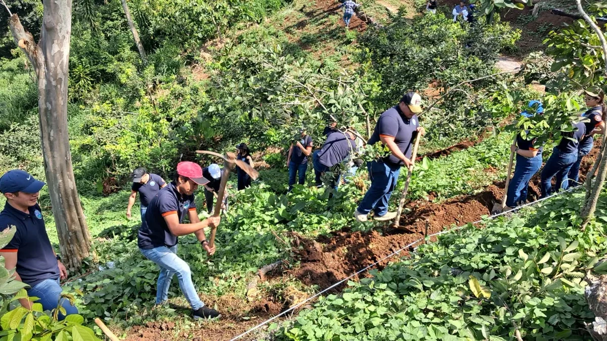 Las lluvias en Guatemala favorecen los cultivos y la recuperación de agua en las zonas agrícolas