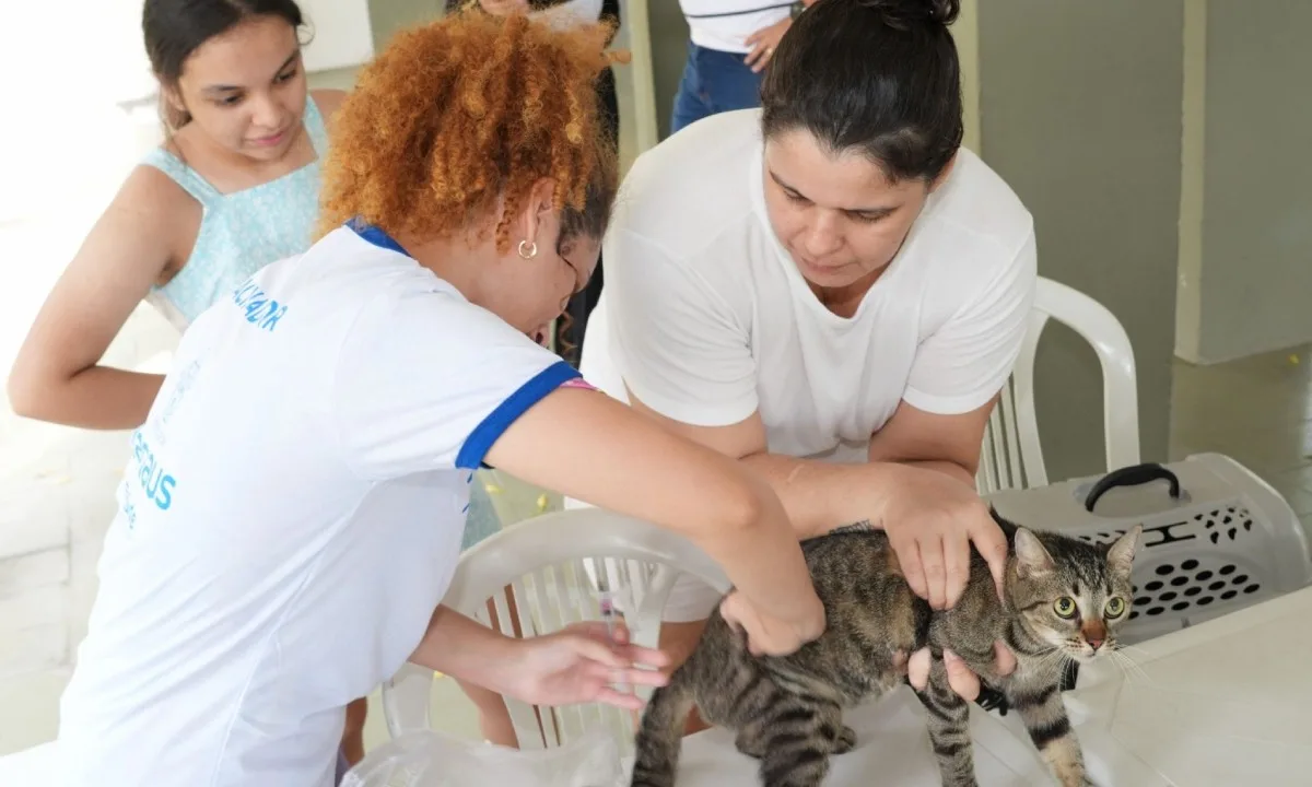 Convocados para vacinação antirrábica têm até quarta (19) para entregar documentos em Manaus