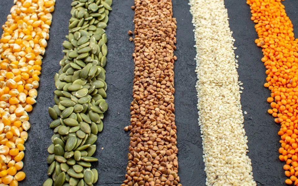 Nova contratação da UE melhora regras alimentares nas compras públicas