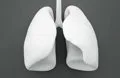 ISCIII avanza en conocimiento para crear 'minipulmones' para investigación biomédica mediante el análisis de hidrogeles